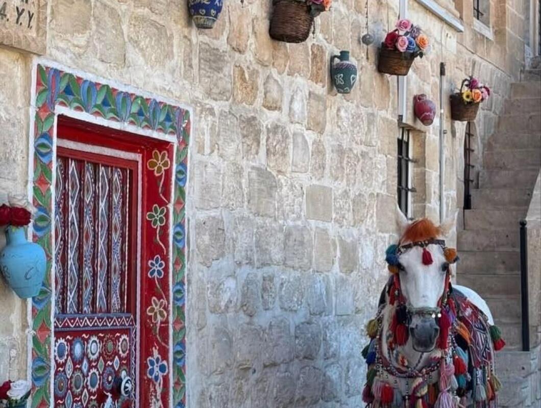 VİP GAP TURU